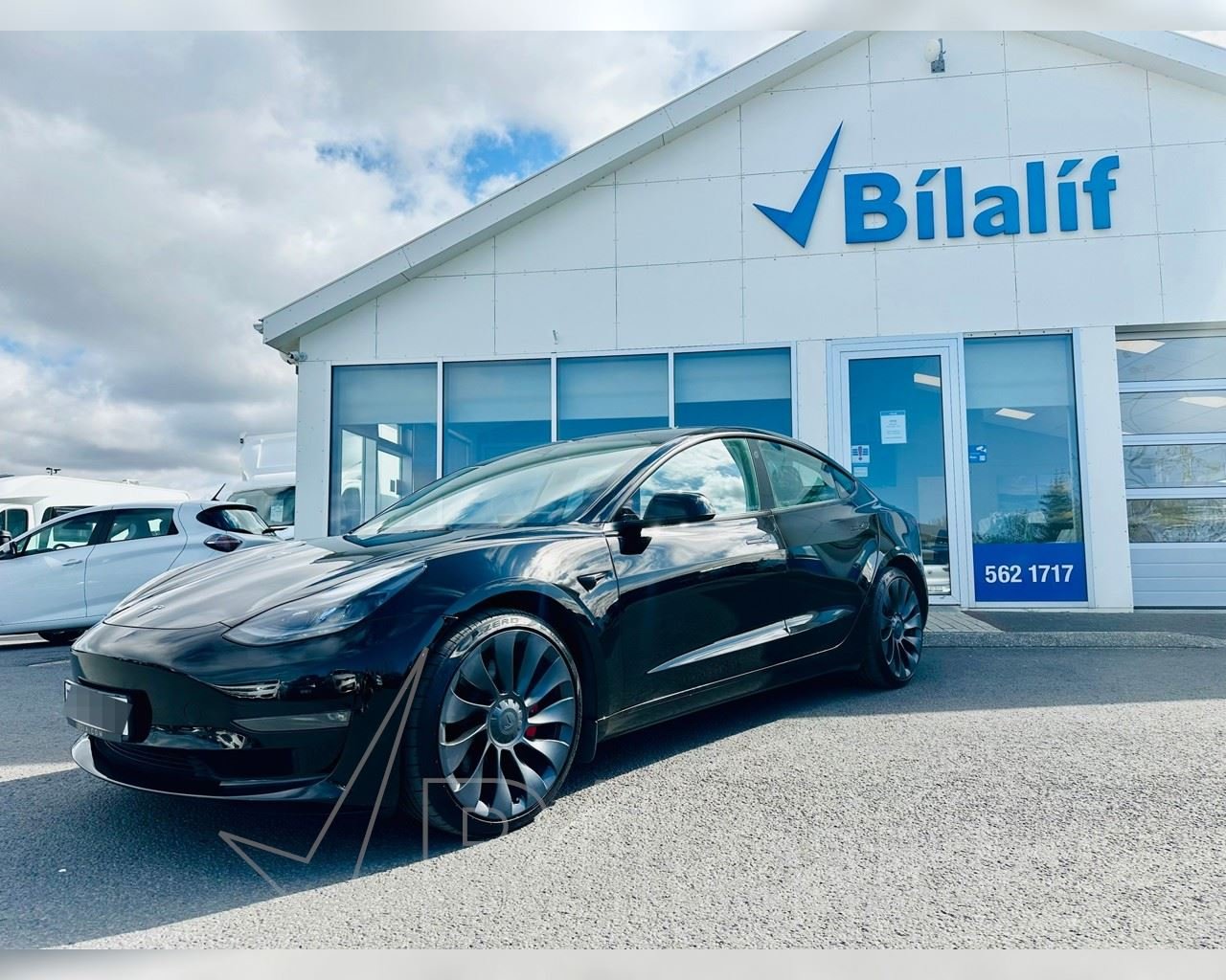 TESLA MODEL 3 PERFORMANCE