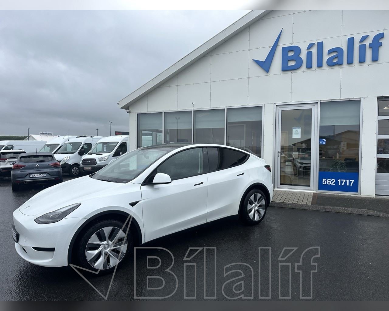 TESLA MODEL Y