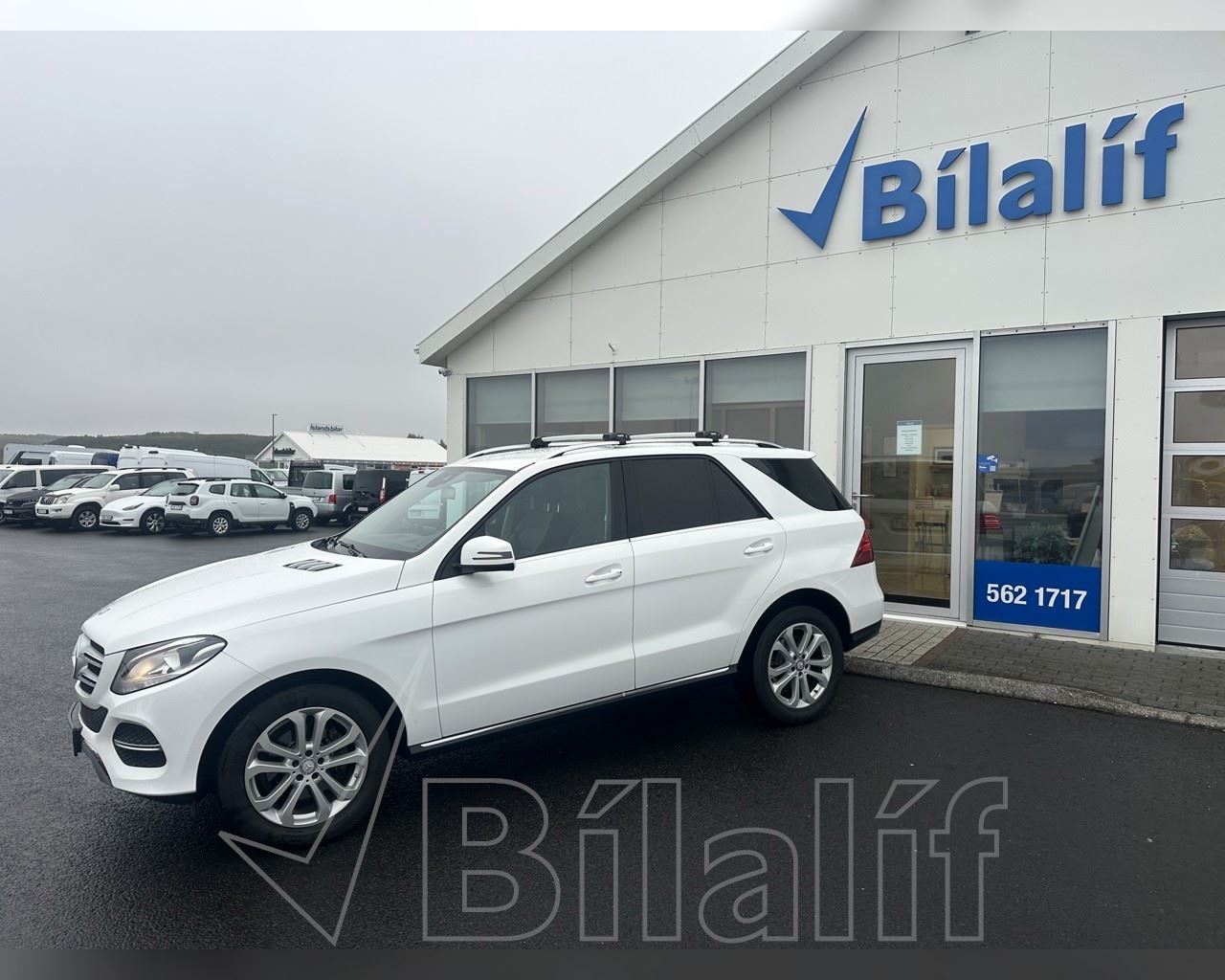 MERCEDES-BENZ GLE 250 D 4MATIC