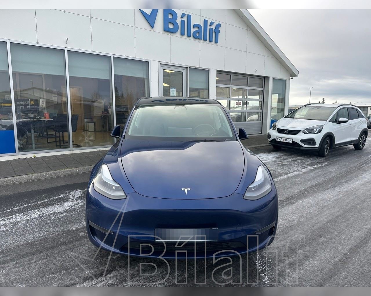 TESLA MODEL Y LONG RANGE