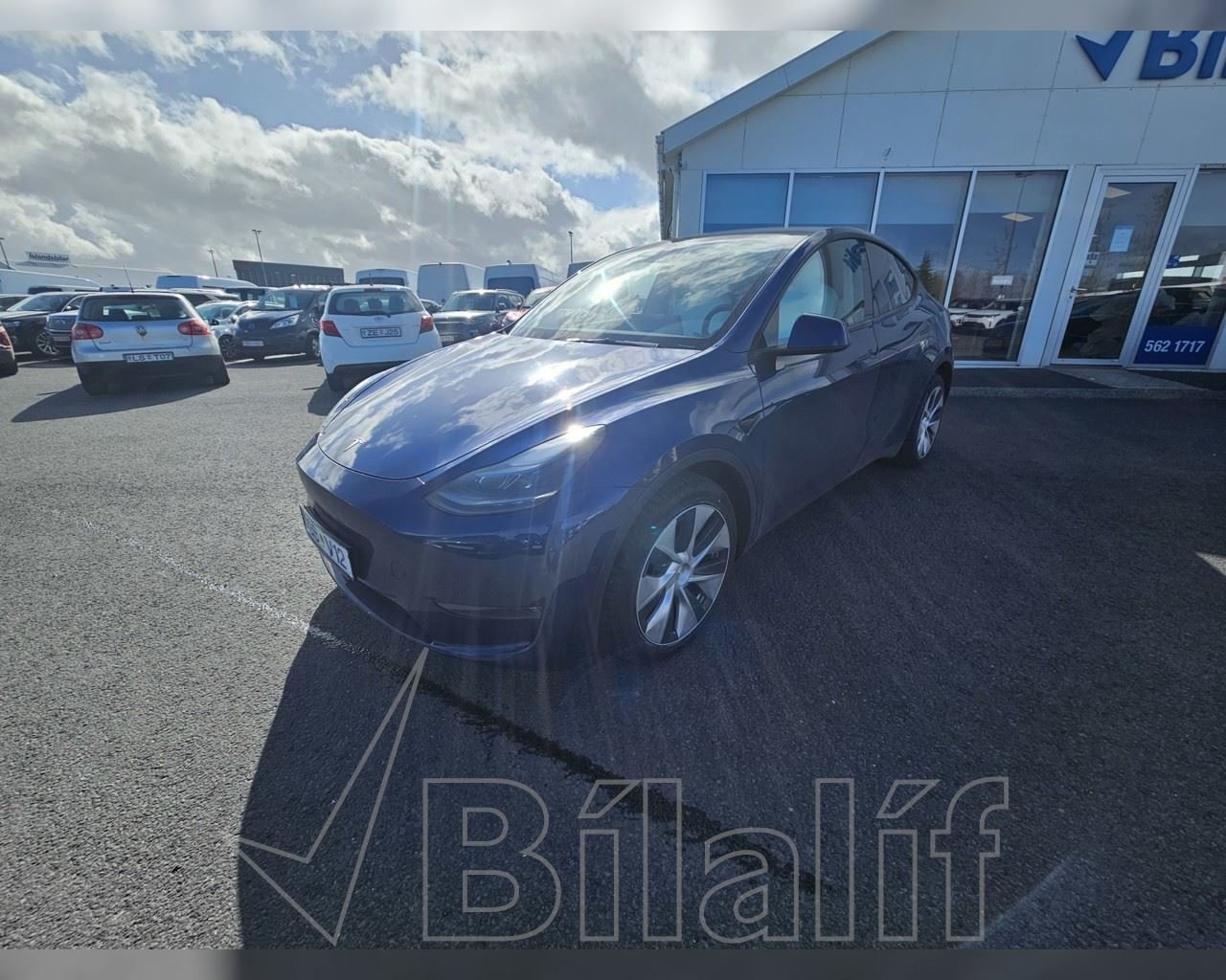 TESLA MODEL Y LRDM